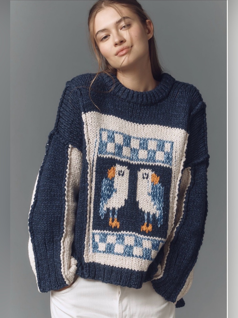 Pilcro Chunky Knit Crew Neck Blue Pattern Bird Sweater Size 2X